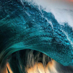 Meet your Posher, Miles